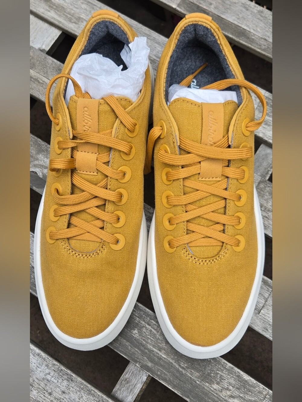 allbirds Men's Yellow Mustard Canvas Sneakers